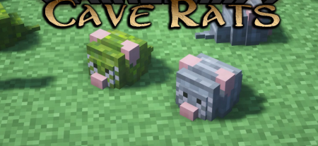  Cave Rats  Minecraft 1.18.2