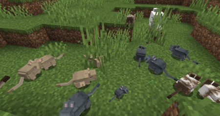  Vanilla Degus  Minecraft 1.19.3