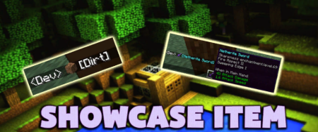Скачать Showcase Item для Minecraft 1.19.4