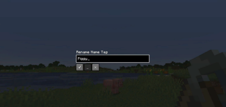 Скачать Convenient Name Tags для Minecraft 1.19.4
