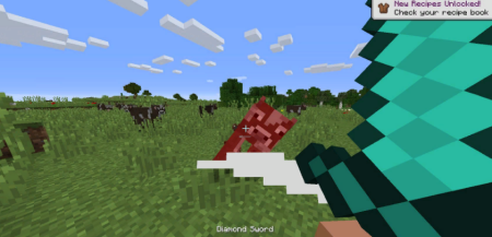  Real First Person 2  Minecraft 1.12.1