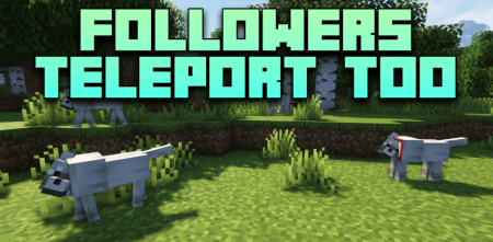 Скачать Followers Teleport Too для Minecraft 1.20.1