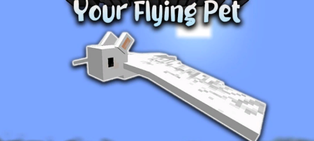  Your Flying Pet  Minecraft 1.19.4