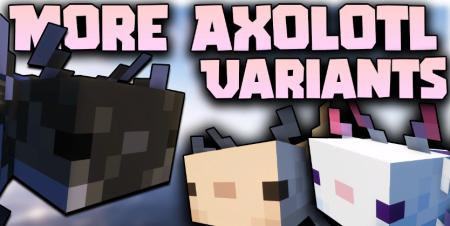  More Axolotl Variants  Minecraft 1.20