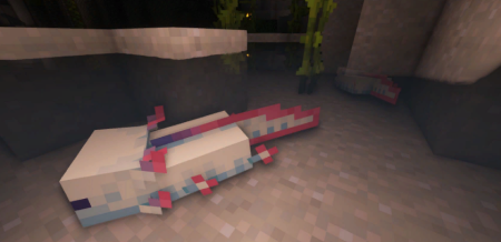  More Axolotl Variants  Minecraft 1.20