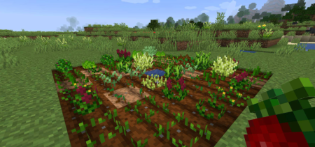 Скачать Pam’s HarvestCraft 2 – Crops для Minecraft 1.20.1