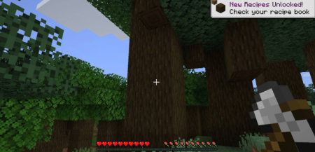  Diggus Maximus  Minecraft 1.19.4