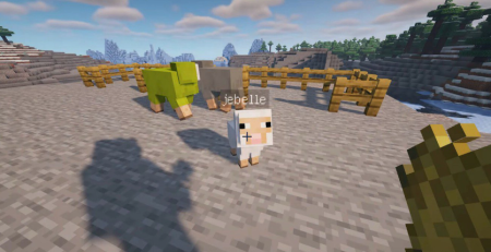  Carry the Nametag  Minecraft 1.20