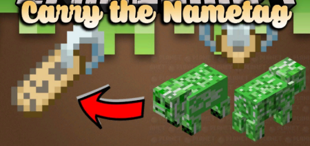  Carry the Nametag  Minecraft 1.20