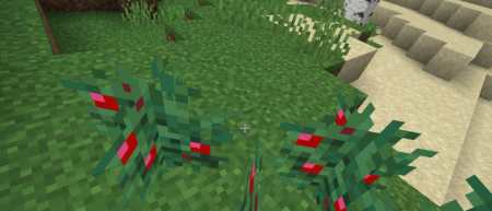  Walk Through Berries  Minecraft 1.20