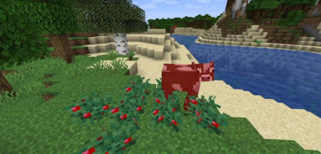  Walk Through Berries  Minecraft 1.20