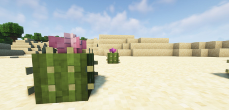 Скачать Floralis для Minecraft 1.20.1