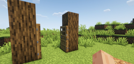 Скачать Doors Coupling для Minecraft 1.16.4