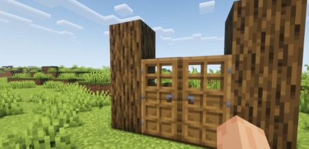  Doors Coupling  Minecraft 1.16.5