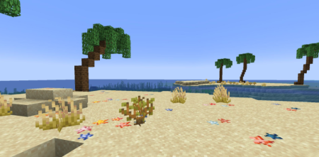  Beachparty  Minecraft 1.19.2