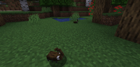  Chirpys Wildlife  Minecraft 1.20.1