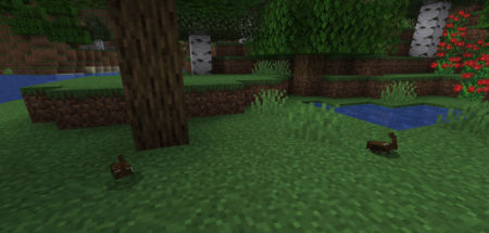  Chirpys Wildlife  Minecraft 1.20.1