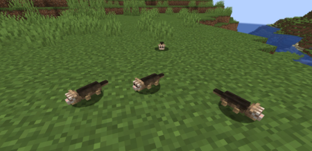  Chirpys Wildlife  Minecraft 1.20.1