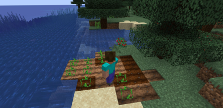 Скачать Auto Plant Crops для Minecraft 1.19.4