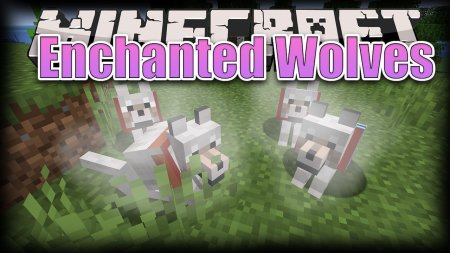  Enchanted Wolves  Minecraft 1.18.2