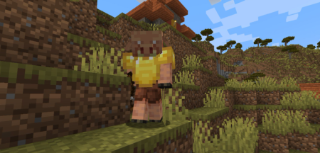  Overworld Piglins  Minecraft 1.20.1