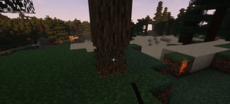  Accelerated Decay  Minecraft 1.20