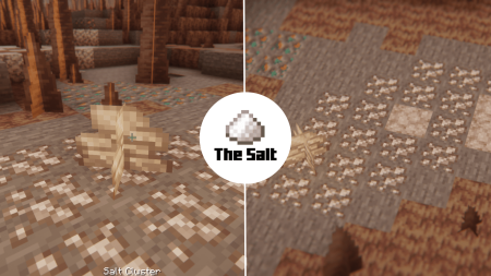 Скачать The Salt для Minecraft 1.19.3