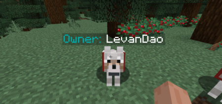 Скачать Pet Owner для Minecraft 1.20.2