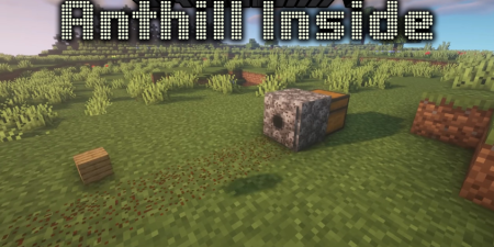  Anthill Inside  Minecraft 1.19.2