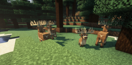  Naturalist  Minecraft 1.20.1