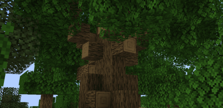  Explorations  Minecrat 1.20.1