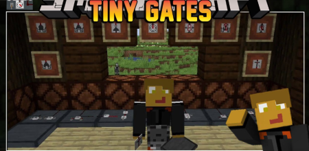  Tiny Gates  Minecraft 1.20.1