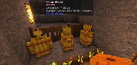  Straw Golem Rebaled  Minecraft 1.19.2