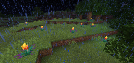 Скачать Glowing Torchflower для Minecraft 1.20.4