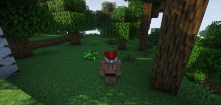  Squat Grow  Minecraft 1.20.3