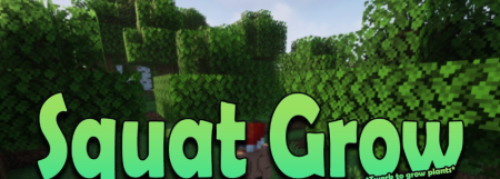 Скачать Squat Grow для Minecraft 1.20.4