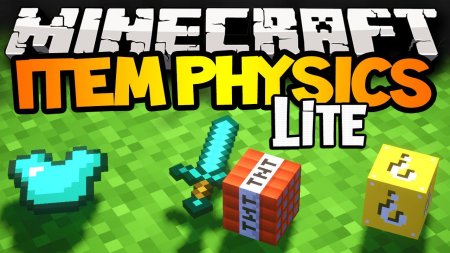 Скачать ItemPhysic Lite для Minecraft 1.20.3