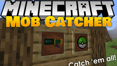  Mob Catcher  Minecraft 1.20.4