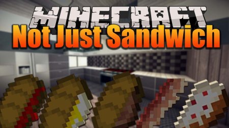  Not Just Sandwich  Minecraft 1.20.1