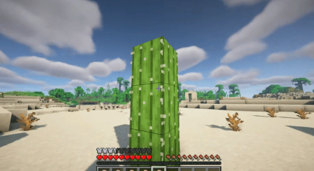  Water from Cactus  Minecraft 1.19.2