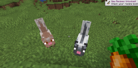  Wildlife Expanded Skunk  Minecraft 1.20.3