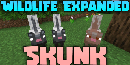  Wildlife Expanded Skunk  Minecraft 1.20.4