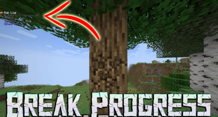  Break Progress  Minecraft 1.18.2