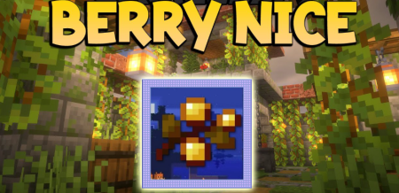  Berry Nice  Minecraft 1.16.4