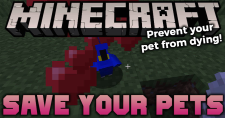  Save Your Pets  Minecraft 1.20.4