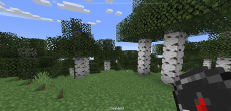  Compass Ribbon  Minecraft 1.20.6