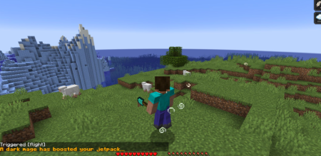  DarkFlight  Minecraft 1.20.5