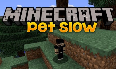  Pet Slow  Minecraft 1.20.4