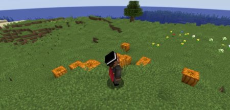  Perspektive  Minecraft 1.20.6