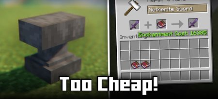  Too Cheap  Minecraft 1.20.6